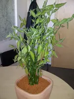 IMG-20120627-00101.webp