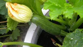 DSCN3185.webp