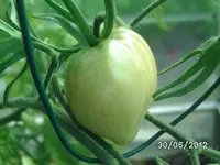 BILD0927.webp