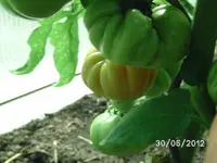 BILD0928.webp
