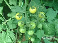 BILD0930.webp