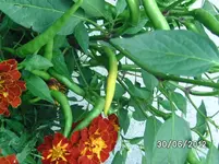 BILD0931.webp