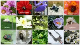 Copy of Juni 2012.webp Copy of Juni 2012.webp