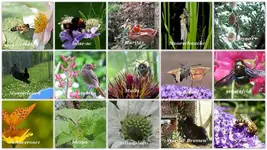 Copy of Juni 2012 (1).webp Copy of Juni 2012 (1).webp