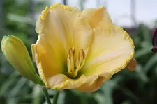 IMG_0894.webp