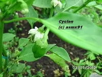 BILD0076.webp