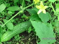 BILD0077.webp