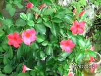 BILD0079.webp