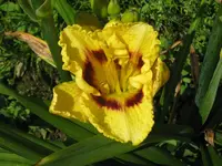 IMG_ab 303_1024x768.webp