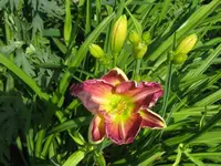 IMG_as 27_1024x768.webp