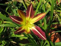 IMG_frag mich was_1024x768.webp