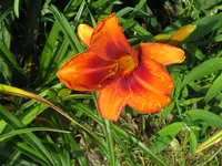 IMG_outregeaus3_1024x768.webp