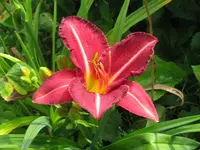IMG_siera madre_1024x768.webp