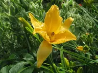 IMG_sleepy_1024x768.webp