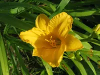 IMG_tini mass_1024x768.webp