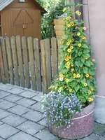 versuch2 005.webp