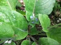 DSCF0625.webp