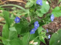 DSCF0638.webp