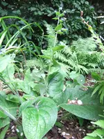 Drehen von DSCF0632.webp