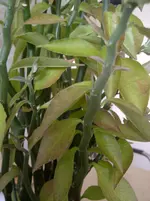 IMG-20120703-00114.webp