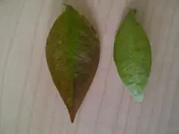IMG-20120703-00115.webp