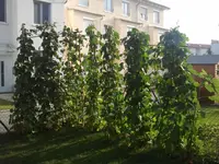 2012-06-30193231.webp
