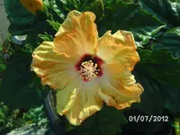 BILD0923 (2).webp