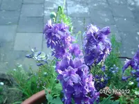 BILD0924 (2).webp