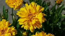 P1030091.webp
