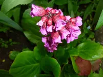 P1010707.webp