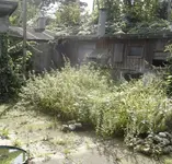 DSC08542a.webp