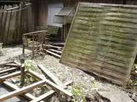 DSC09538ab.webp