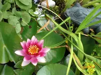 CIMG1116.webp