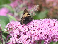 IMG_0970.webp