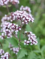 IMG_1022.webp