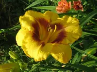 IMG_a 236.1_1024x768.webp