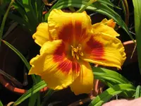 IMG_allways a presure_1024x768.webp