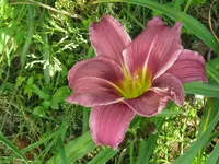 IMG_anja22_1024x768.webp