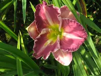 IMG_fragezeichen 24_1024x768.webp