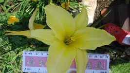 DSC01646.webp
