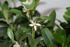 04.07.2012 020.webp