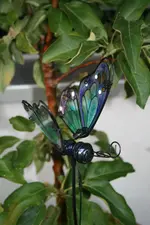 04.07.2012 024.webp