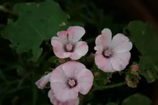 04.07.2012 028.webp