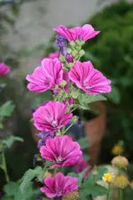 04.07.2012 029.webp