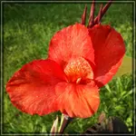 comp_DSC02227.webp