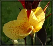 comp_DSC02228.webp
