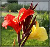 comp_DSC02226.webp