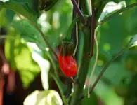 DSC_6768.2.webp