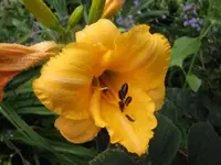 004.webp