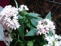 Foto0297.webp